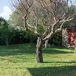 Welcomely - Acqua E Tramonto